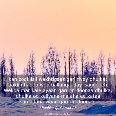 Picture 03 - Cibraaniyada 12:26 SOM - kan codkiisii wakhtigaas gariiriyey dhulka; - Bible Verse Picture