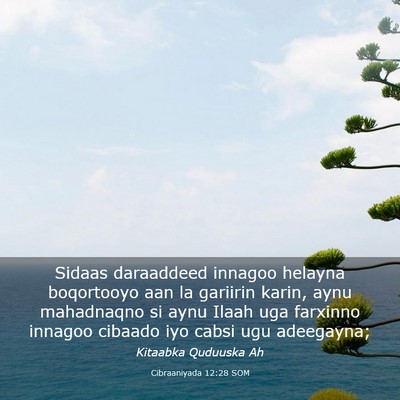 Picture 03 - Cibraaniyada 12:28 SOM - Sidaas daraaddeed innagoo helayna boqortooyo aan - Bible Verse Picture