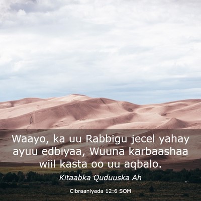 Picture 03 - Cibraaniyada 12:6 SOM - Waayo, ka uu Rabbigu jecel yahay ayuu edbiyaa, - Bible Verse Picture