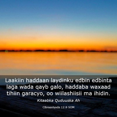 Picture 03 - Cibraaniyada 12:8 SOM - Laakiin haddaan laydinku edbin edbinta laga wada - Bible Verse Picture