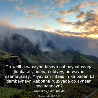 Picture 03 - Cibraaniyada 12:9 SOM - Oo weliba waxaynu lahayn aabbayaal xagga jidhka - Bible Verse Picture