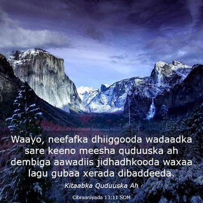 Picture 03 - Cibraaniyada 13:11 SOM - Waayo, neefafka dhiiggooda wadaadka sare keeno - Bible Verse Picture