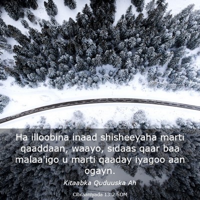 Picture 03 - Cibraaniyada 13:2 SOM - Ha illoobina inaad shisheeyaha marti qaaddaan, - Bible Verse Picture