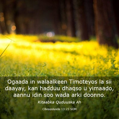 Picture 03 - Cibraaniyada 13:23 SOM - Ogaada in walaalkeen Timoteyos la sii daayay, kan - Bible Verse Picture