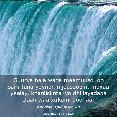 Picture 03 - Cibraaniyada 13:4 SOM - Guurka hala wada maamuuso, oo sariirtuna yeynan - Bible Verse Picture