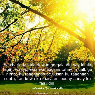 Picture 03 - Cibraaniyada 13:9 SOM - Waxbaridda kala duwan oo qalaadu yay idinla - Bible Verse Picture