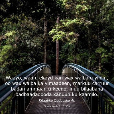 Picture 03 - Cibraaniyada 2:10 SOM - Waayo, waa u ekayd kan wax walba u yihiin, oo wax - Bible Verse Picture