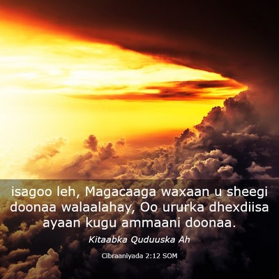 Picture 03 - Cibraaniyada 2:12 SOM - isagoo leh, Magacaaga waxaan u sheegi doonaa - Bible Verse Picture