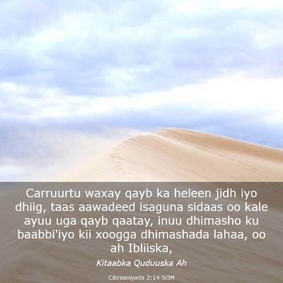 Picture 03 - Cibraaniyada 2:14 SOM - Carruurtu waxay qayb ka heleen jidh iyo dhiig, - Bible Verse Picture