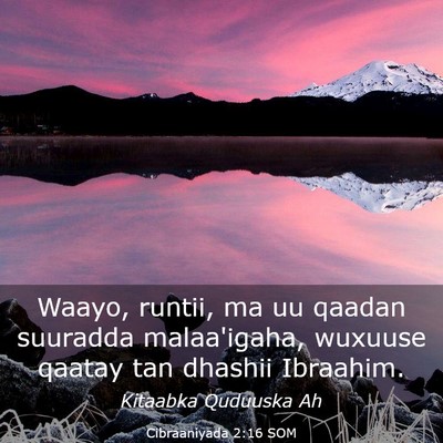 Picture 03 - Cibraaniyada 2:16 SOM - Waayo, runtii, ma uu qaadan suuradda malaa'igaha, - Bible Verse Picture