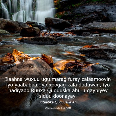 Picture 03 - Cibraaniyada 2:4 SOM - Ilaahna wuxuu ugu marag furay calaamooyin iyo - Bible Verse Picture
