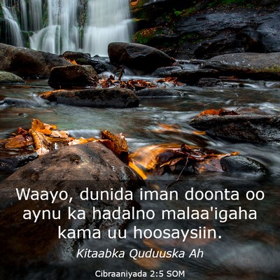 Picture 03 - Cibraaniyada 2:5 SOM - Waayo, dunida iman doonta oo aynu ka hadalno - Bible Verse Picture