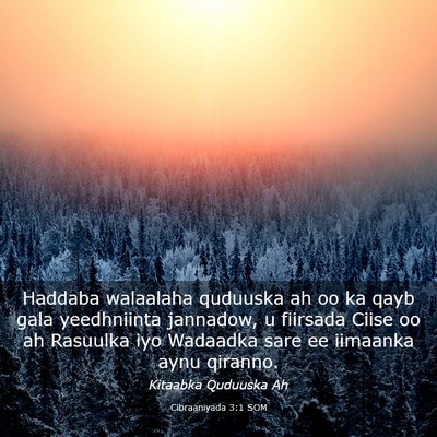 Picture 03 - Cibraaniyada 3:1 SOM - Haddaba walaalaha quduuska ah oo ka qayb gala - Bible Verse Picture