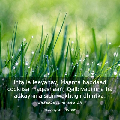 Picture 03 - Cibraaniyada 3:15 SOM - inta la leeyahay, Maanta haddaad codkiisa - Bible Verse Picture