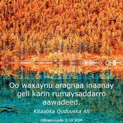 Picture 03 - Cibraaniyada 3:19 SOM - Oo waxaynu aragnaa inaanay geli karin - Bible Verse Picture