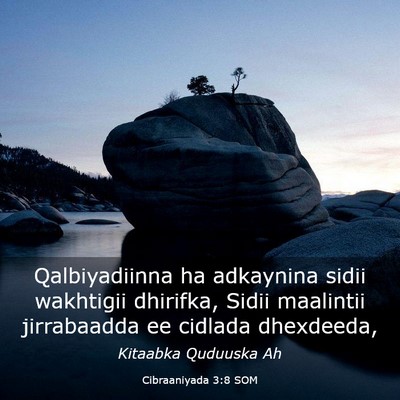 Picture 03 - Cibraaniyada 3:8 SOM - Qalbiyadiinna ha adkaynina sidii wakhtigii - Bible Verse Picture