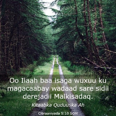 Picture 03 - Cibraaniyada 5:10 SOM - Oo Ilaah baa isaga wuxuu ku magacaabay wadaad - Bible Verse Picture