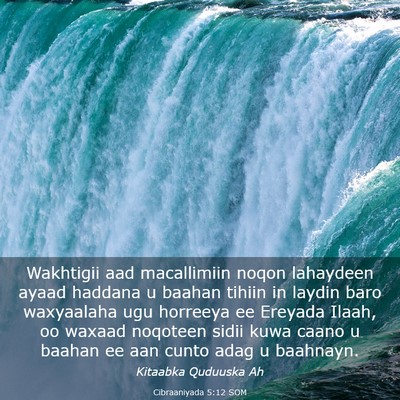 Picture 03 - Cibraaniyada 5:12 SOM - Wakhtigii aad macallimiin noqon lahaydeen ayaad - Bible Verse Picture