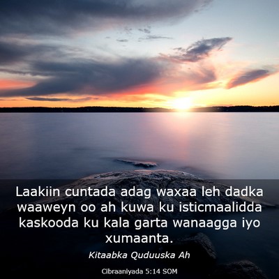 Picture 03 - Cibraaniyada 5:14 SOM - Laakiin cuntada adag waxaa leh dadka waaweyn oo - Bible Verse Picture