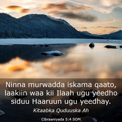 Picture 03 - Cibraaniyada 5:4 SOM - Ninna murwadda iskama qaato, laakiin waa kii - Bible Verse Picture