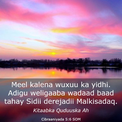 Picture 03 - Cibraaniyada 5:6 SOM - Meel kalena wuxuu ka yidhi. Adigu weligaaba - Bible Verse Picture