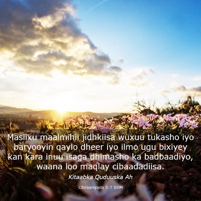 Picture 03 - Cibraaniyada 5:7 SOM - Masiixu maalmihii jidhkiisa wuxuu tukasho iyo - Bible Verse Picture