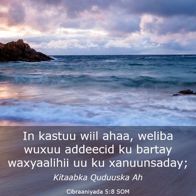 Picture 03 - Cibraaniyada 5:8 SOM - In kastuu wiil ahaa, weliba wuxuu addeecid ku - Bible Verse Picture
