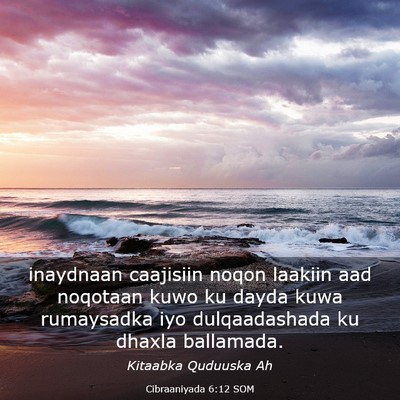 Picture 03 - Cibraaniyada 6:12 SOM - inaydnaan caajisiin noqon laakiin aad noqotaan - Bible Verse Picture