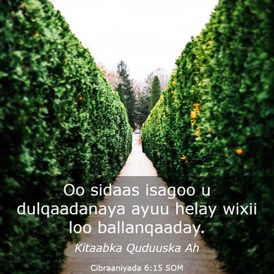 Picture 03 - Cibraaniyada 6:15 SOM - Oo sidaas isagoo u dulqaadanaya ayuu helay wixii - Bible Verse Picture