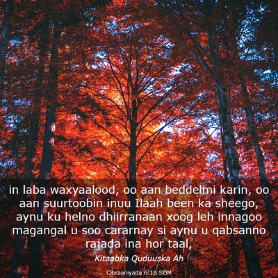 Picture 03 - Cibraaniyada 6:18 SOM - in laba waxyaalood, oo aan beddelmi karin, oo aan - Bible Verse Picture