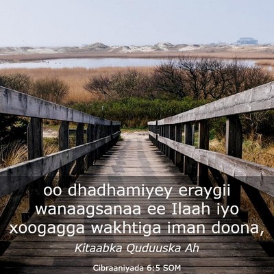Picture 03 - Cibraaniyada 6:5 SOM - oo dhadhamiyey eraygii wanaagsanaa ee Ilaah iyo - Bible Verse Picture