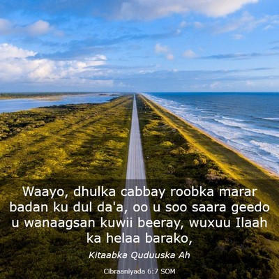Picture 03 - Cibraaniyada 6:7 SOM - Waayo, dhulka cabbay roobka marar badan ku dul - Bible Verse Picture