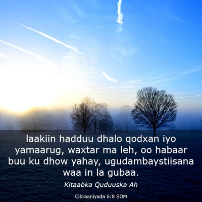 Picture 03 - Cibraaniyada 6:8 SOM - laakiin hadduu dhalo qodxan iyo yamaarug, waxtar - Bible Verse Picture