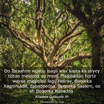 Picture 03 - Cibraaniyada 7:2 SOM - Oo Ibraahim wuxuu isagii wax kasta ka siiyey - Bible Verse Picture