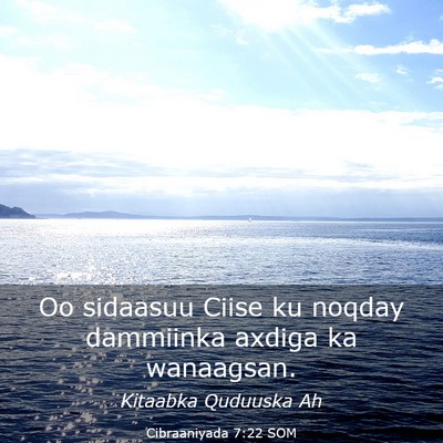 Picture 03 - Cibraaniyada 7:22 SOM - Oo sidaasuu Ciise ku noqday dammiinka axdiga ka - Bible Verse Picture