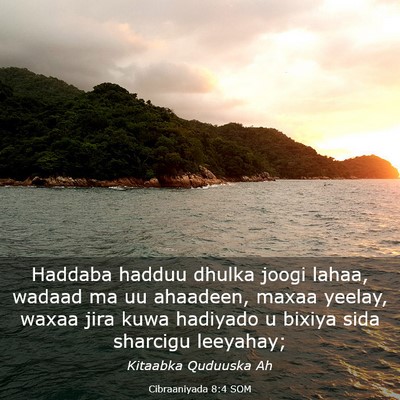 Picture 03 - Cibraaniyada 8:4 SOM - Haddaba hadduu dhulka joogi lahaa, wadaad ma uu - Bible Verse Picture