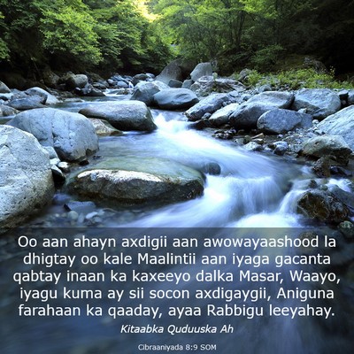Picture 03 - Cibraaniyada 8:9 SOM - Oo aan ahayn axdigii aan awowayaashood la dhigtay - Bible Verse Picture