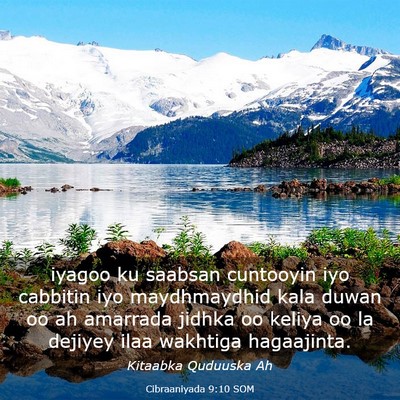 Picture 03 - Cibraaniyada 9:10 SOM - iyagoo ku saabsan cuntooyin iyo cabbitin iyo - Bible Verse Picture
