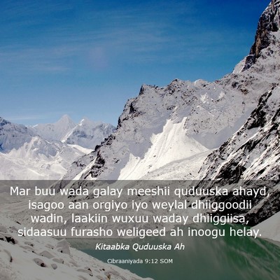 Picture 03 - Cibraaniyada 9:12 SOM - Mar buu wada galay meeshii quduuska ahayd, isagoo - Bible Verse Picture