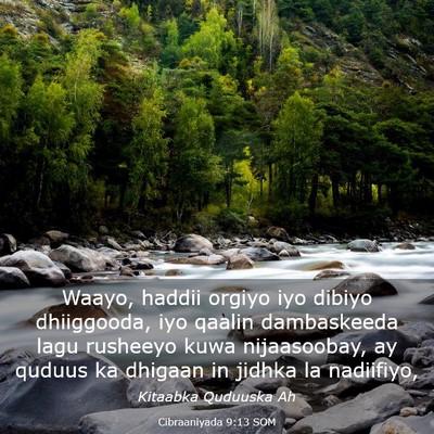 Picture 03 - Cibraaniyada 9:13 SOM - Waayo, haddii orgiyo iyo dibiyo dhiiggooda, iyo - Bible Verse Picture