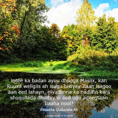 Picture 03 - Cibraaniyada 9:14 SOM - intee ka badan ayuu dhiigga Masiix, kan Ruuxa - Bible Verse Picture