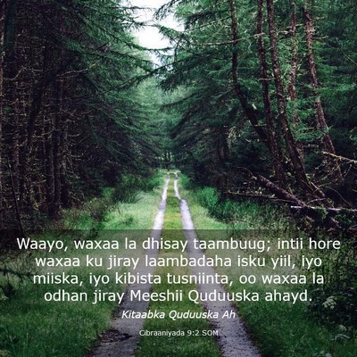 Picture 03 - Cibraaniyada 9:2 SOM - Waayo, waxaa la dhisay taambuug; intii hore waxaa - Bible Verse Picture