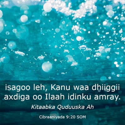 Picture 03 - Cibraaniyada 9:20 SOM - isagoo leh, Kanu waa dhiiggii axdiga oo Ilaah - Bible Verse Picture
