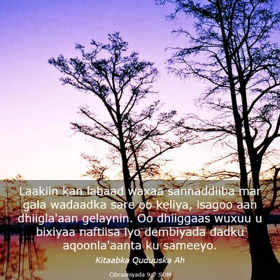 Picture 03 - Cibraaniyada 9:7 SOM - Laakiin kan labaad waxaa sannaddiiba mar gala - Bible Verse Picture
