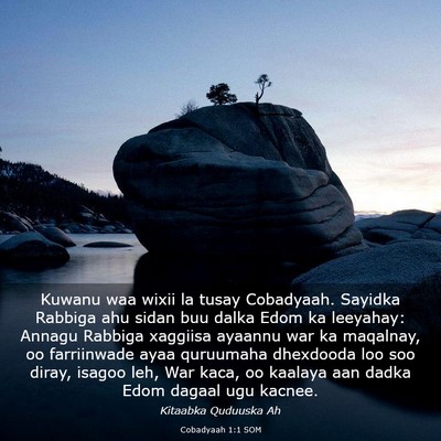 Picture 03 - Cobadyaah 1:1 SOM - Kuwanu waa wixii la tusay Cobadyaah. Sayidka - Bible Verse Picture