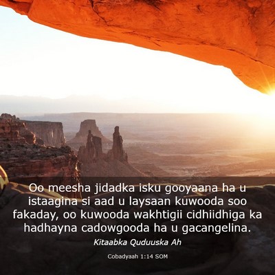 Picture 03 - Cobadyaah 1:14 SOM - Oo meesha jidadka isku gooyaana ha u istaagina si - Bible Verse Picture