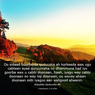 Picture 03 - Cobadyaah 1:16 SOM - Oo sidaad buurtayda quduuska ah korkeeda wax ugu - Bible Verse Picture