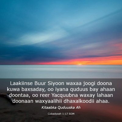 Picture 03 - Cobadyaah 1:17 SOM - Laakiinse Buur Siyoon waxaa joogi doona kuwa - Bible Verse Picture