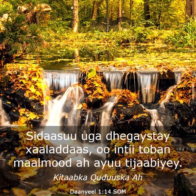 Picture 03 - Daanyeel 1:14 SOM - Sidaasuu uga dhegaystay xaaladdaas, oo intii - Bible Verse Picture