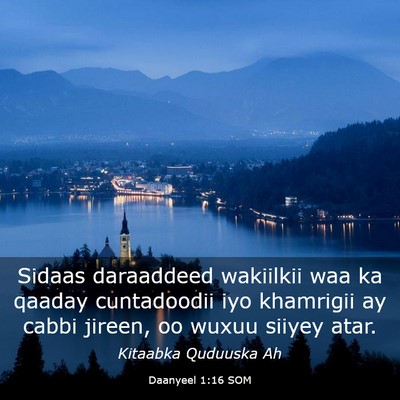 Picture 03 - Daanyeel 1:16 SOM - Sidaas daraaddeed wakiilkii waa ka qaaday - Bible Verse Picture